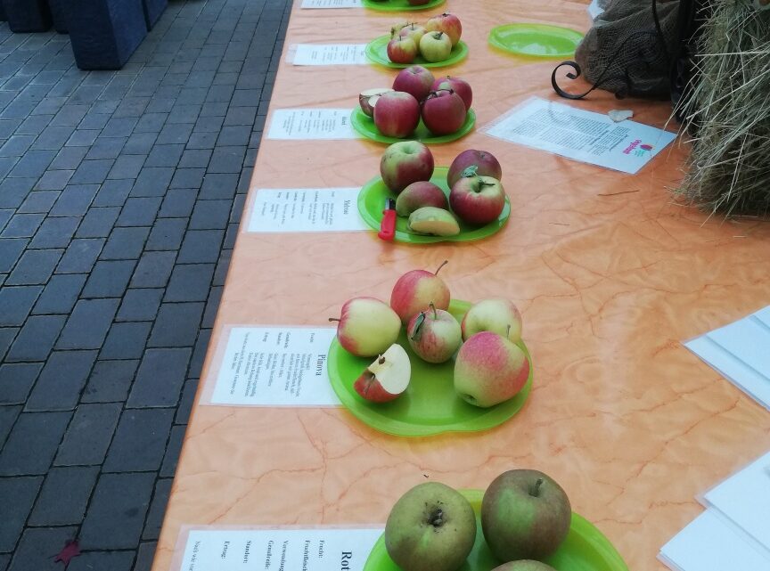 Apfelverkostung Baumschule Engelhardt